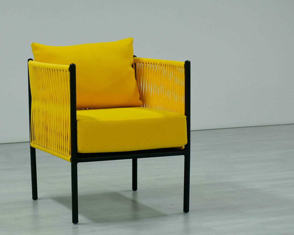 2 Piece Living Room Set