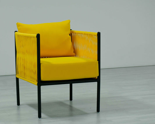 2 Piece Living Room Set